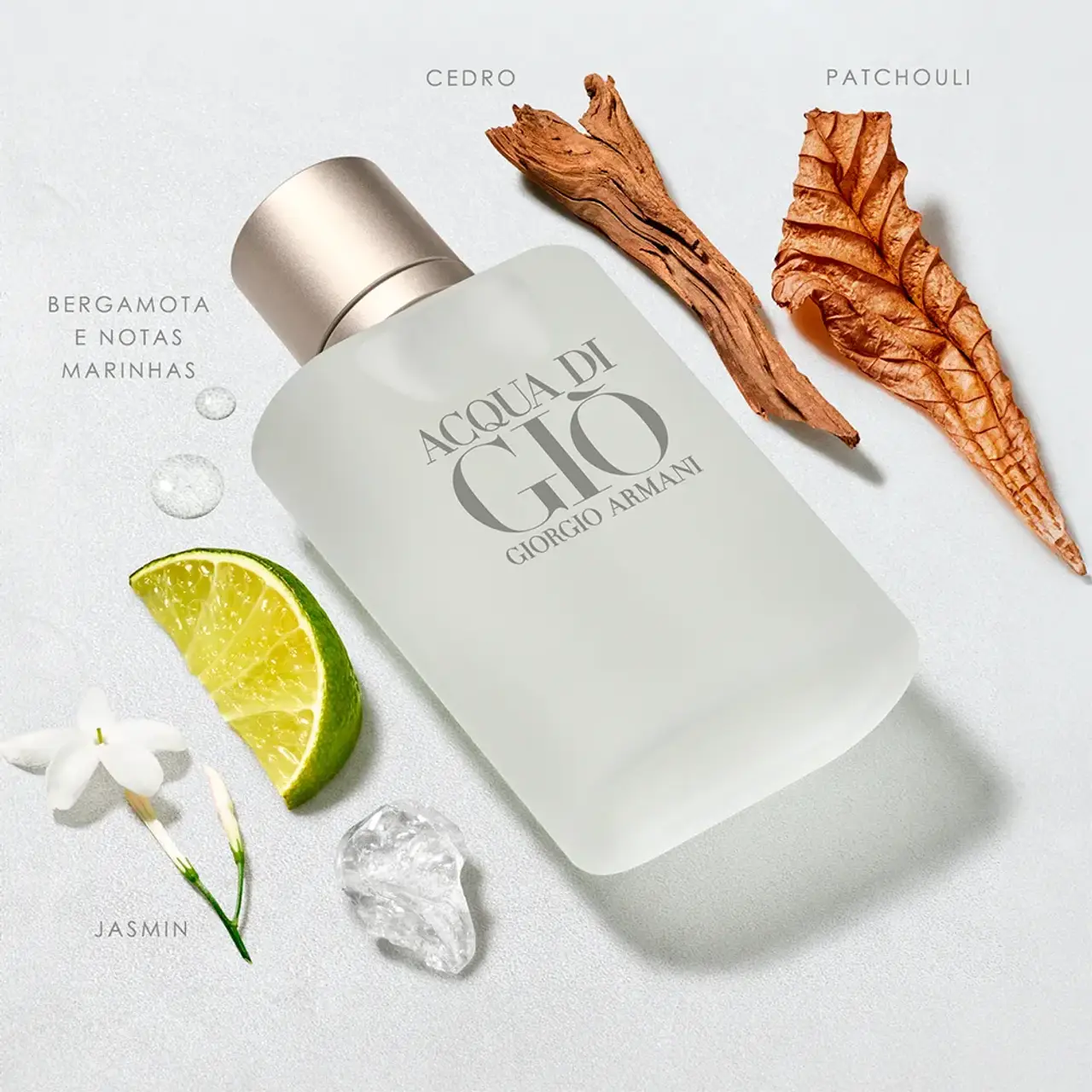 Acqua Di Giò Homme com as principais notas 